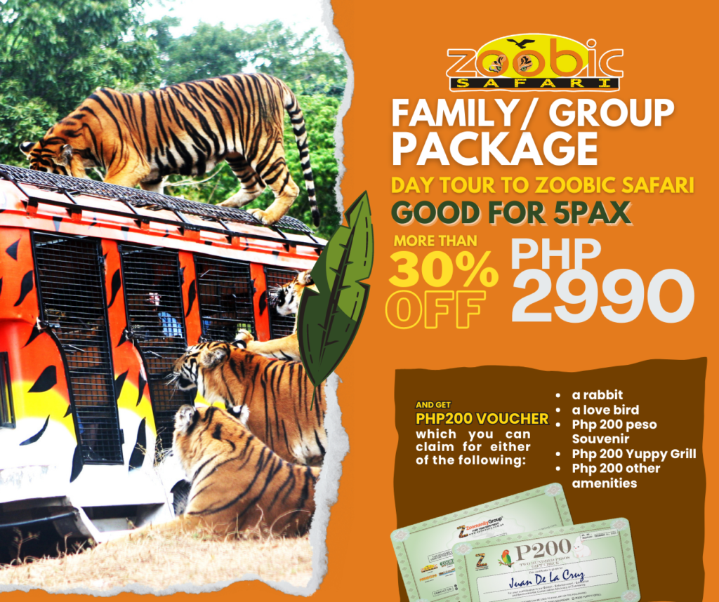 zoobic safari birthday promo